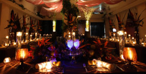 フィンチオブアメージングダイナー | 工房Smith札幌 フィンチ オブ アメージング ダイナー