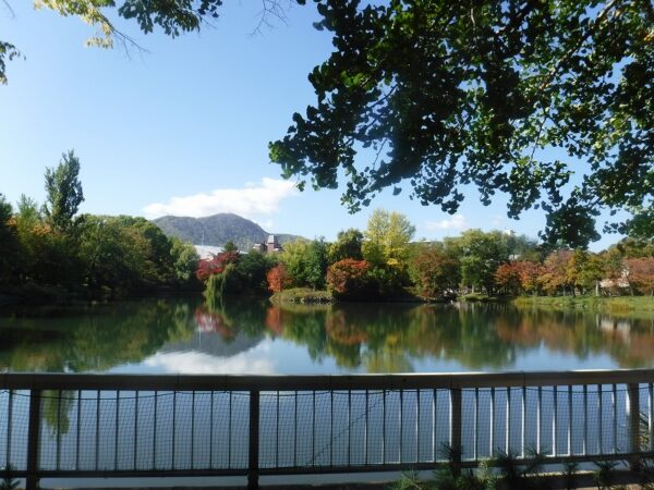 nakajima | 工房Smith札幌 中島公園