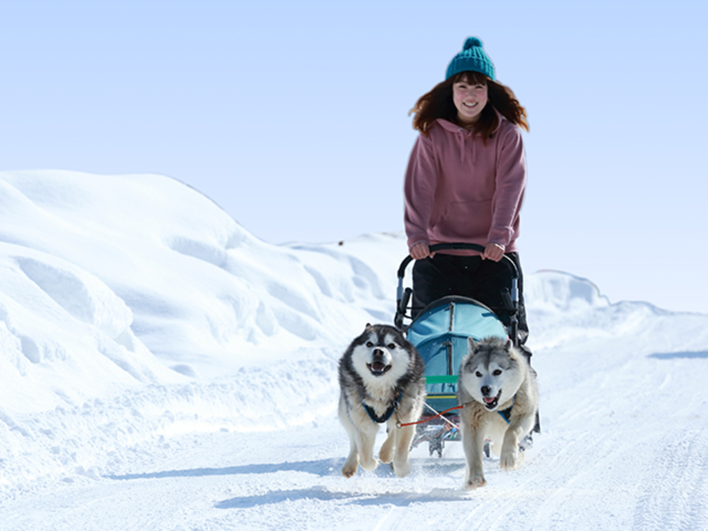 inusori | 工房Smith札幌 犬ぞり体験「追分犬ぞりクラブ」
