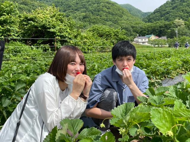 kajuen | 工房Smith札幌 果物狩り&野菜の収穫体験「八剣山果樹園」