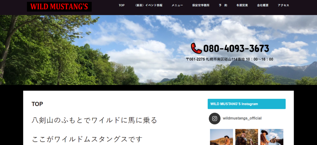 wild | 工房Smith札幌 ワイルドムスタングス