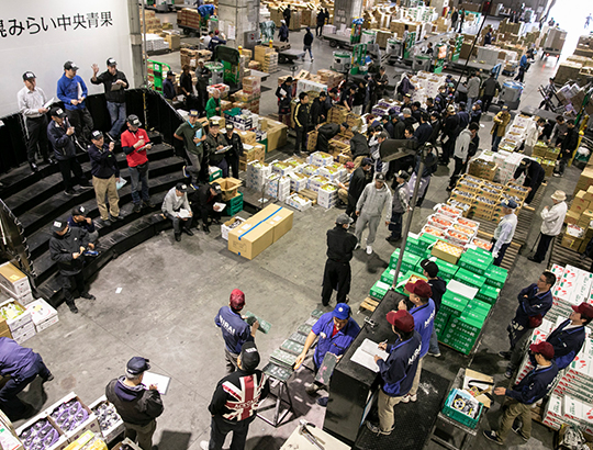 orosi | 工房Smith札幌 札幌市中央卸売市場