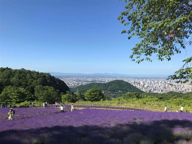rabenda | 工房Smith札幌 幌見峠ラベンダー園