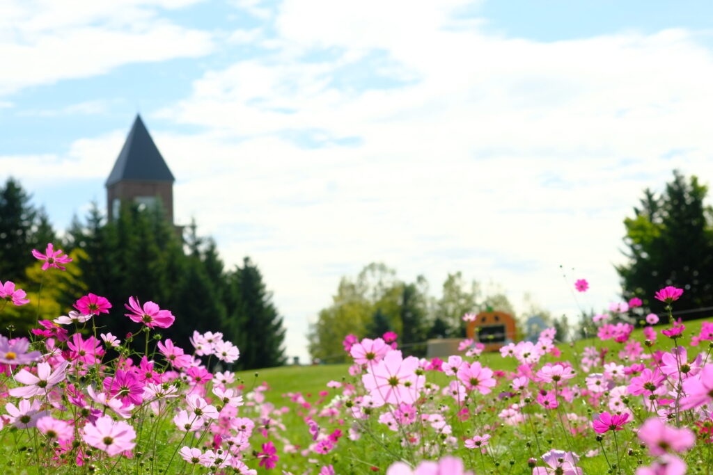 suzu | 工房Smith札幌 滝野すずらん丘陵公園