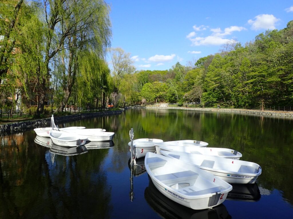 bote | 工房Smith札幌 月寒公園