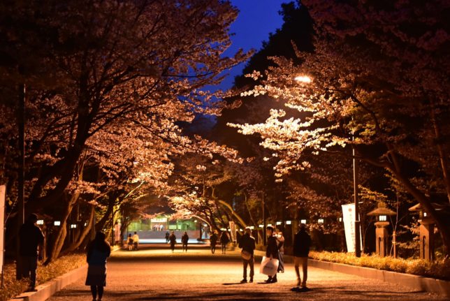 maruyama | 工房Smith札幌 円山公園