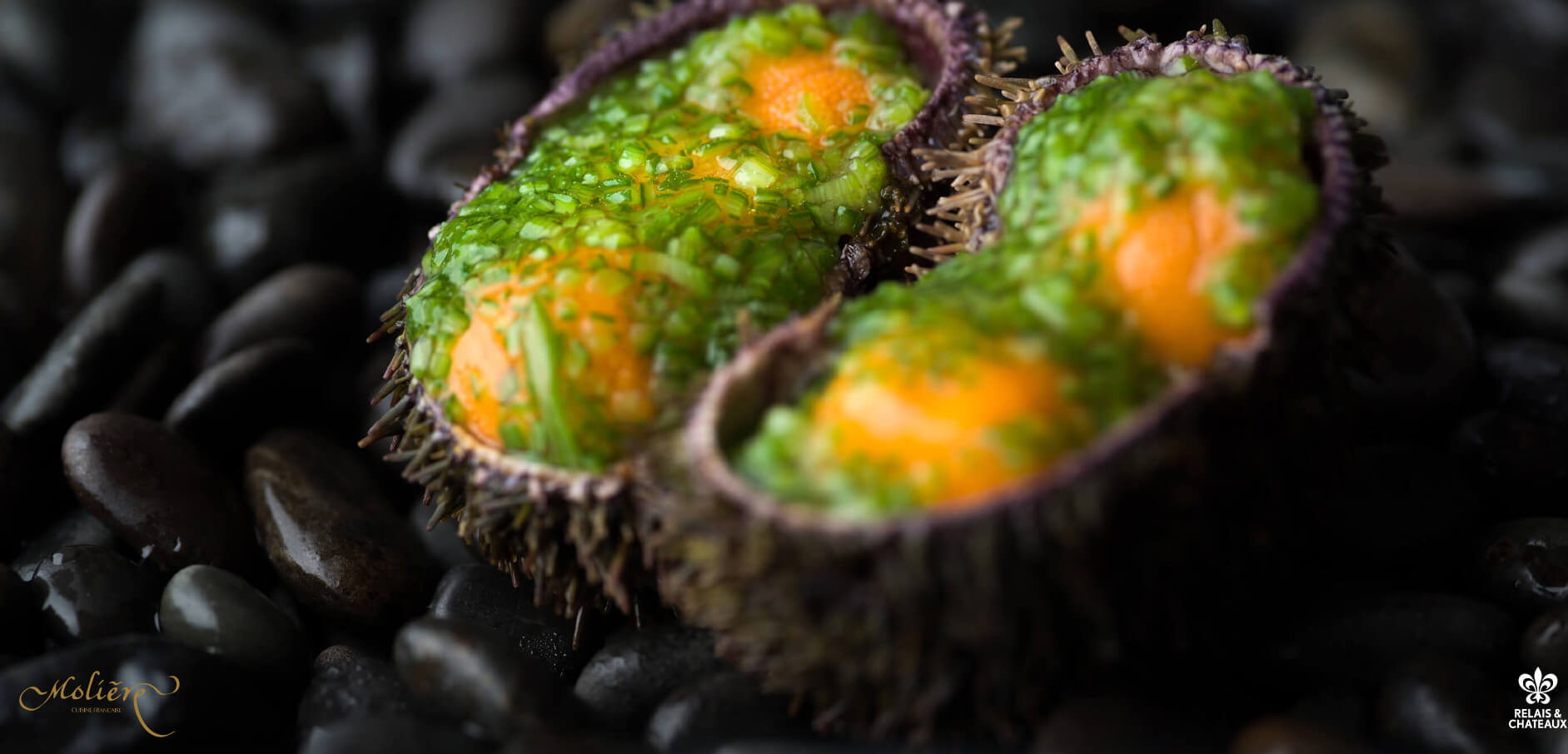 sapporo-smith-surprise-birthday-moliere | 工房Smith札幌 レストラン・モリエール