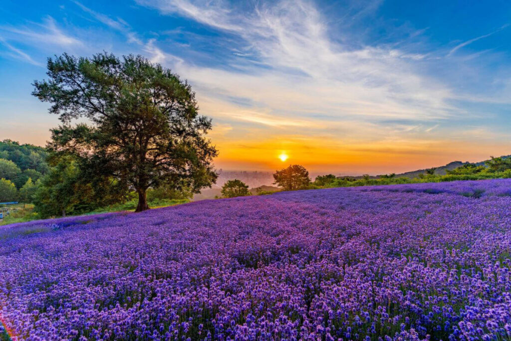 sapporo-smith-little-known-porosiritouge | 工房Smith札幌 幌見峠