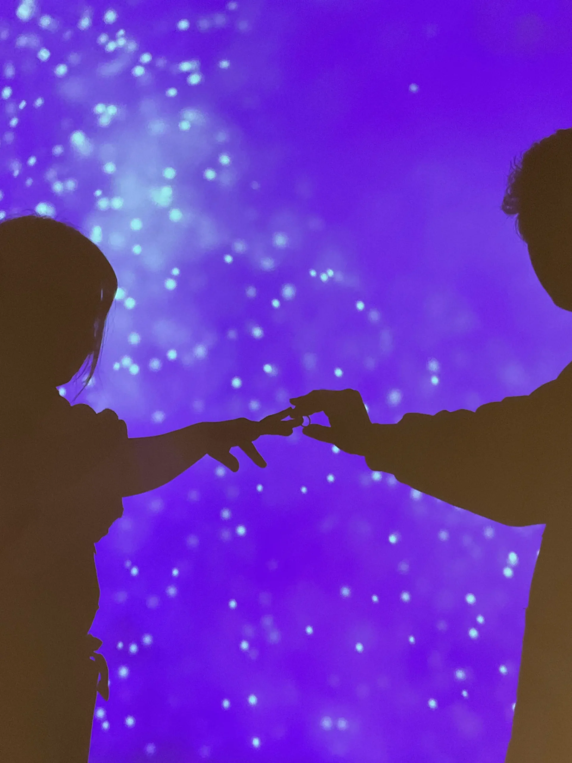 ｜W様【一生の思い出になりました】