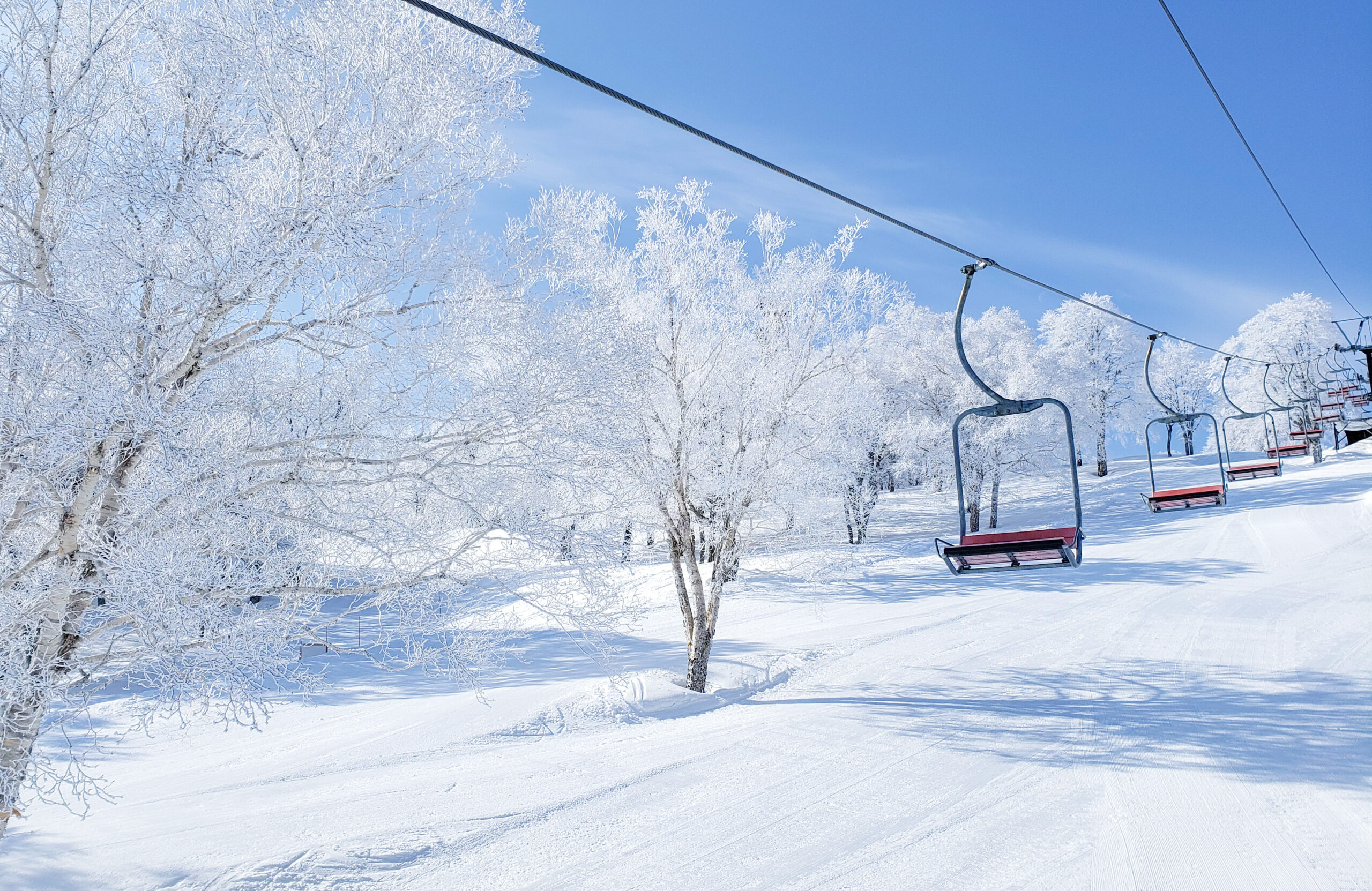 23361476_l | 工房Smith札幌 スキー場