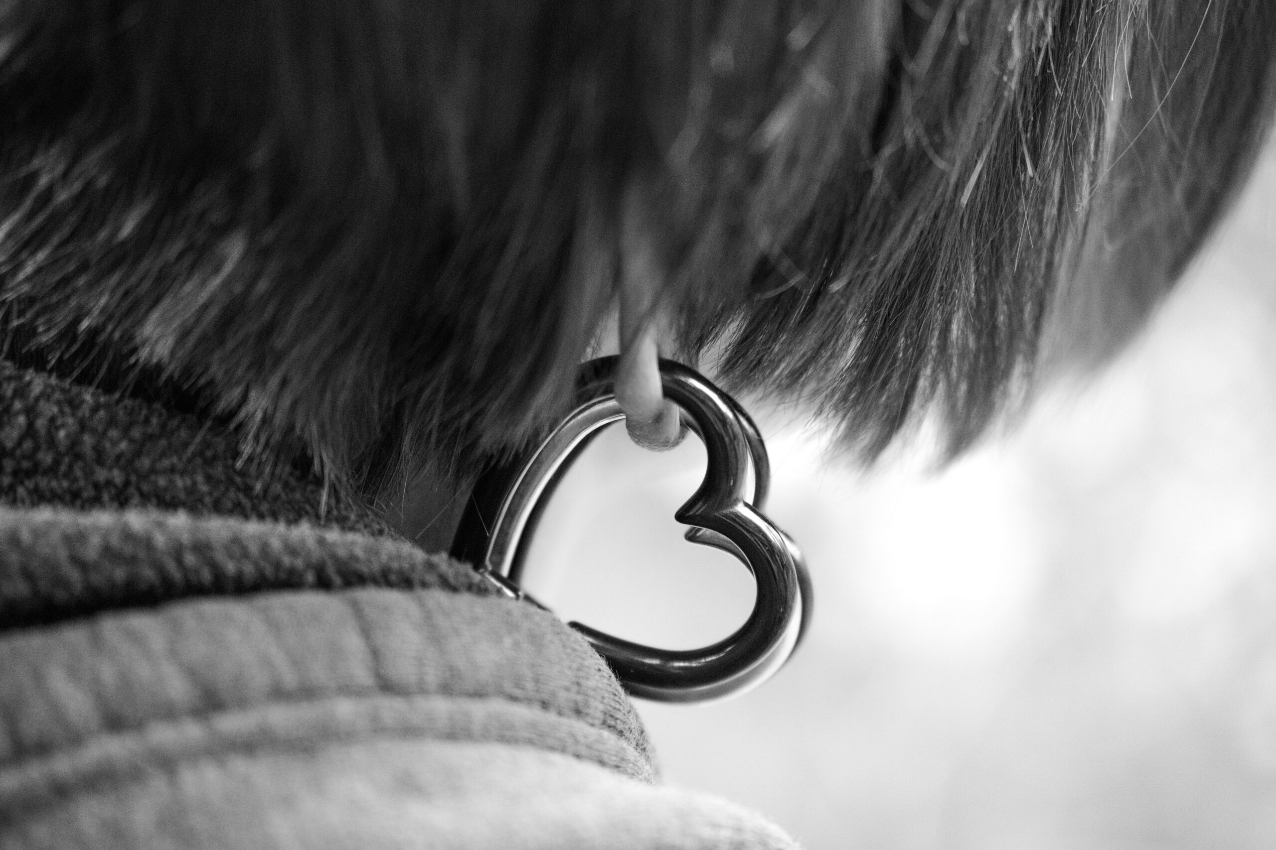 rob-martin-aMAMkJvK-i0-unsplash | 工房Smith札幌 ピアス